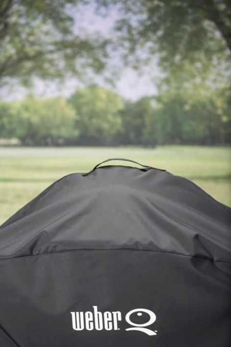 The Weber Family Q 3000 BBQ Cover outdoor photo